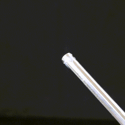 TaRiss's 尿道プラグ 尿道ブジー 貫通式 取り外し可 常時使用可 ステンレス