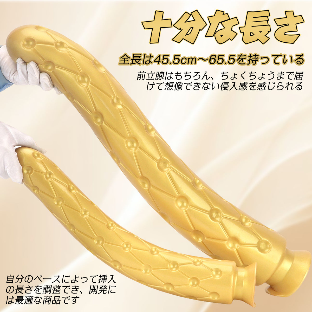 TaRiss's 超長いアナルプラグ 吸盤付き 凹凸あり シリコン S 6.2cmx45.5cm TaRiss's