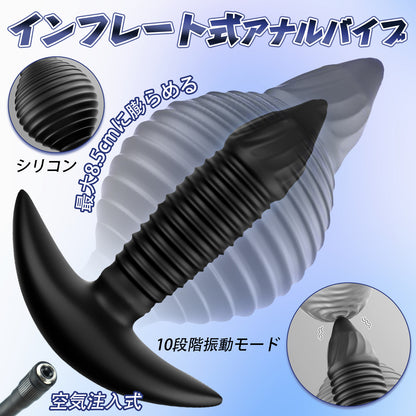 TaRiss's インフレート式アナルバイブ 10段階振動モード 最大8.5cmに膨らめる リモコンあり シリコン TaRiss's