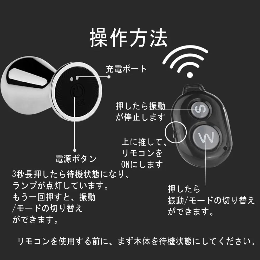 TaRiss's バルーン形アナルバイブ アナルプラグ 10段階振動モード リモコン付き 10m遠隔操作 ステンレス製 - TaRiss's