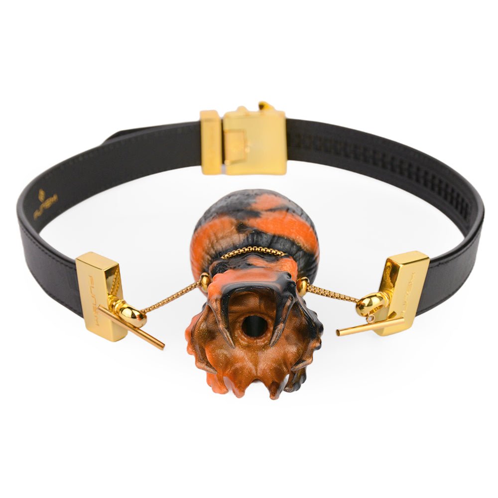 MAPARON 口枷 4種類 骨型・バラ・ハイビスカス・爪 PUベルト 調節可能 BDSM 役割プレイ 赤色・オレンジ色 ギフトボックス付き 拘束具 - TaRiss's