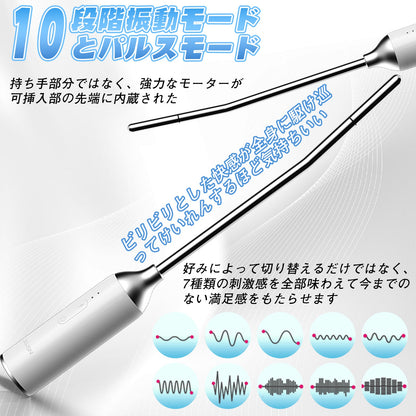 TaRiss's 尿道バイブ 尿道プラグ 非貫通式 10段階振動モード 10種類のパルスモード 金属製 - TaRiss's