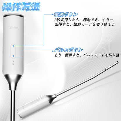 TaRiss's 尿道バイブ 尿道プラグ 非貫通式 10段階振動モード 10種類のパルスモード 金属製 - TaRiss's