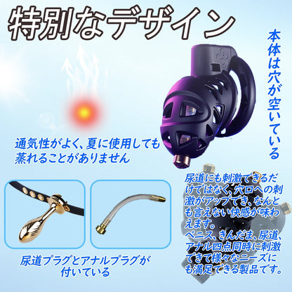 TaRiss's 10点セット 貞操帯 貞操具 尿道プラグ付き 四つのリング付き 調整可能 ベルト付き 取り外し可 SMプレイ SMグッズ - TaRiss's