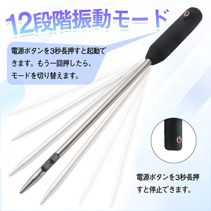 TaRiss's 尿道バイブ 尿道プラグ 非貫通式 12段階振動モード 金属製 6.5mmx168mm - TaRiss's