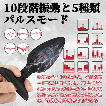 TaRiss's 3点セット パルスアナルプラグ アナルバイブ リモコン付き アナル開発 台座あり ネジ山形 10段階振動と5種類パルスモード シリコン 40mmx120mm - TaRiss's