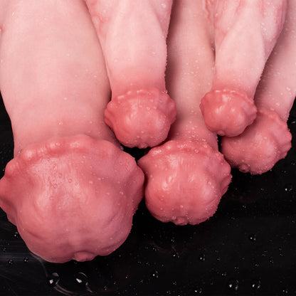 TaRiss's ディルド アナルプラグ 凹凸あり 吸盤仕様 液体シリコン 「ぎょうえい」 - TaRiss's