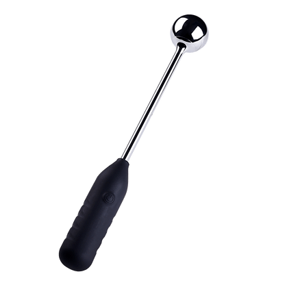 TaRiss's アナルバイブ 7種類振動モード ステンレス製 - TaRiss's