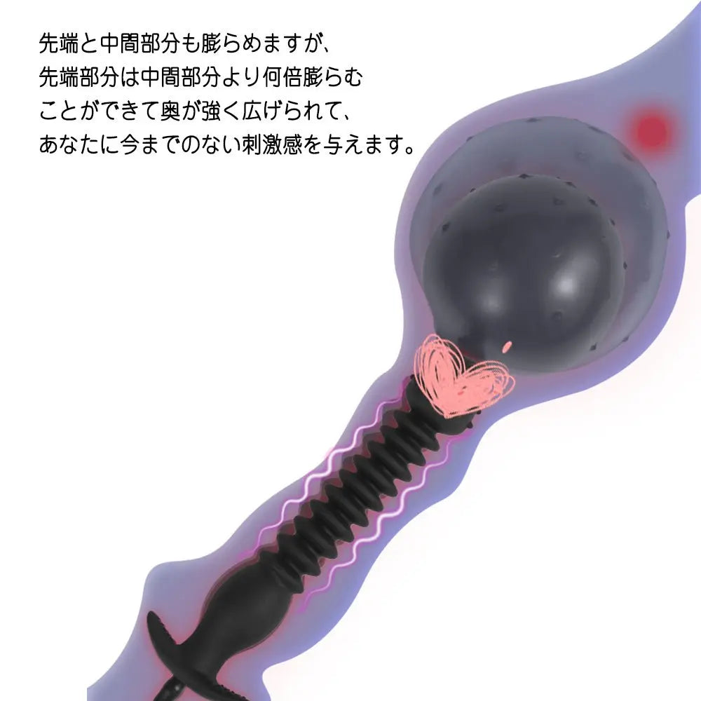 TaRiss's インフレート式アナルプラグ アナル拡張 空気注入式 - TaRiss's