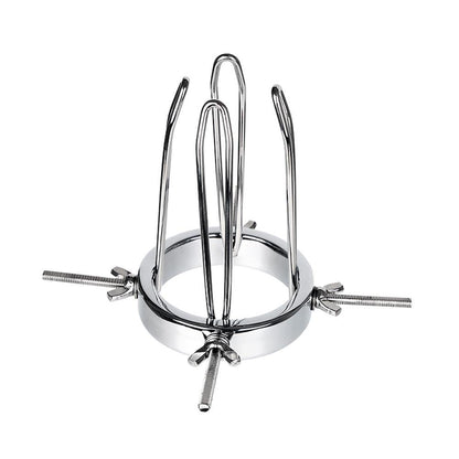 TaRiss's アナル拡張器 二代目 - TaRiss's