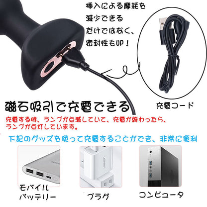 TaRiss's アナルバイブ アナルビーズ バイブレータ - TaRiss's