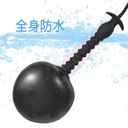 TaRiss's インフレート式アナルプラグ アナル拡張 空気注入式 - TaRiss's